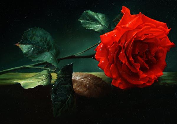 艺术家Alexei Antonov玫瑰花绘画欣赏