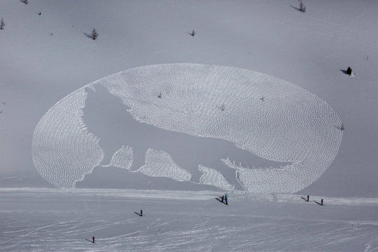 英国雪鞋艺术家用脚步画出狼嚎图 壮观瑰丽