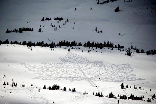 英国雪鞋艺术家用脚步画出狼嚎图 壮观瑰丽