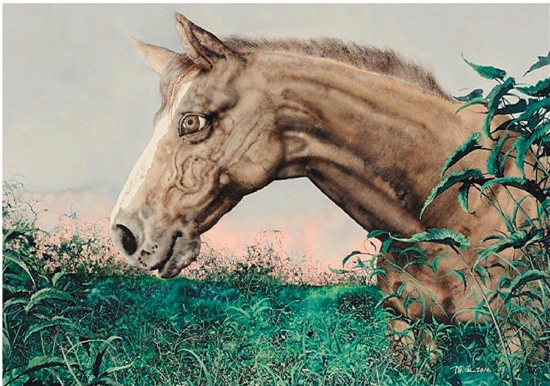   陈流 草丛中的马 81×112cm
