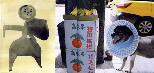 《明星》：川岛小鸟 X 台湾