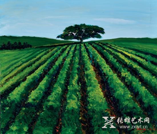 王中军 夏日的花生地