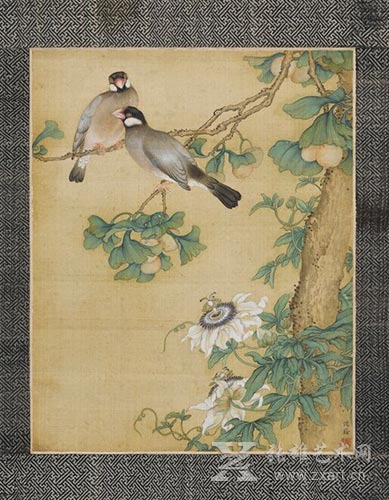 清乾隆 （传）沈铨 花鸟图‧孔雀图‧设色绢本 镜心