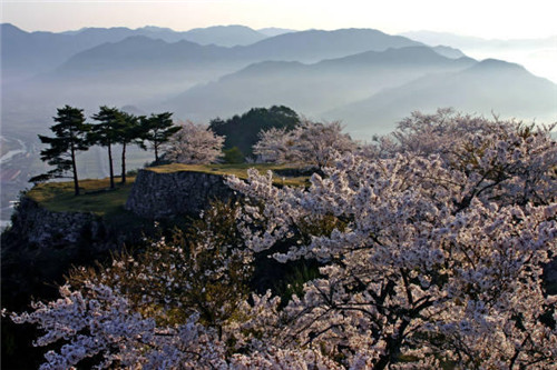 真实版天空之城：日本竹田城
