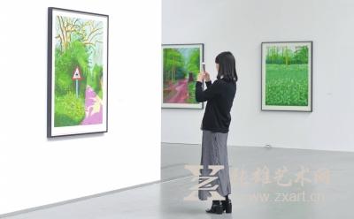 一名艺术爱好者在大卫·霍克尼作品前拍照。