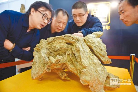 1月1日，沉香交易博览会在海南定安县文笔峰举行。图为参观者在观看一块奇楠沉香。(新华社)