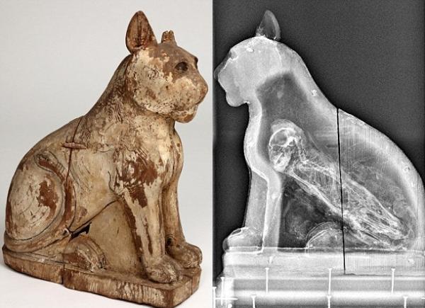 英国研究人员对800个古埃及动物木乃伊进行了扫描。