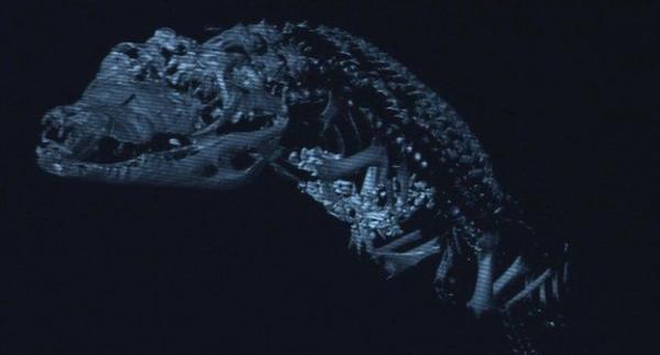 扫描镜头里一具鳄鱼木乃伊的残骸