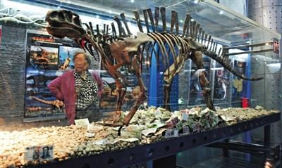 5月初，北京自然博物馆，恐龙展柜内被游客投入钱币。