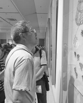 “对‘画’大师——齐白石艺术展”火爆端午小长假