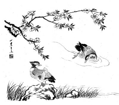  王小梅画册内页