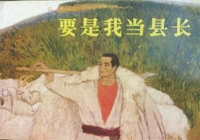 《要是我当县长》封面