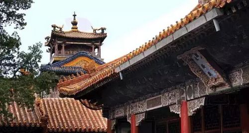 雨花阁是故宫中最高的藏传佛教佛堂 王争 摄