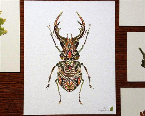 植物树叶拼制成的动植物插画华美如锦缎刺绣