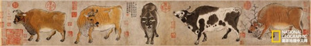 唐韩滉《五牛图》