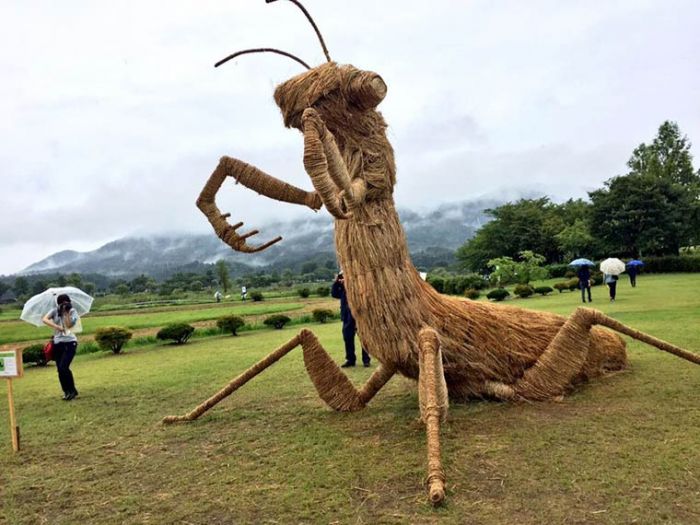 稻草获新生：日艺术家用秸秆做成巨型雕塑