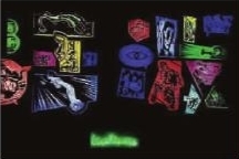 ■　2009年里昂双年展作品（图IC）