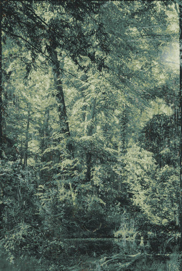 Aki Lumi《The Garden》（2013）