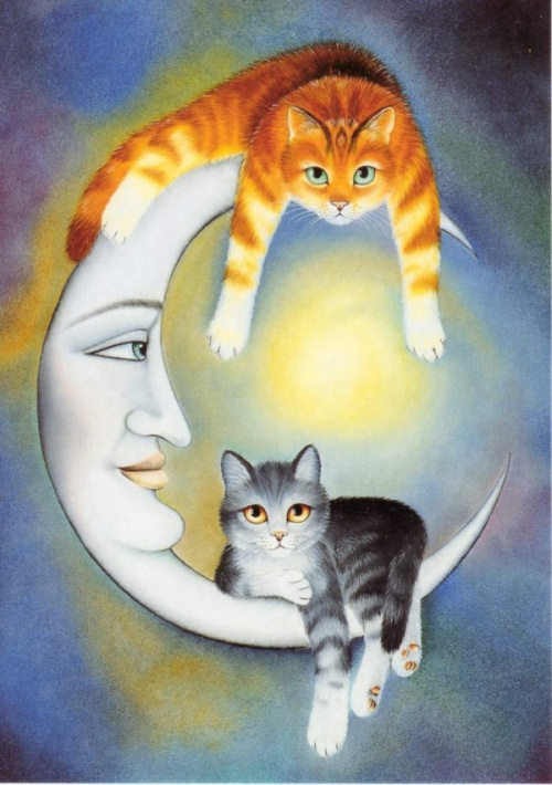 Anna Hollerer笔下的猫咪可不只在卖萌！