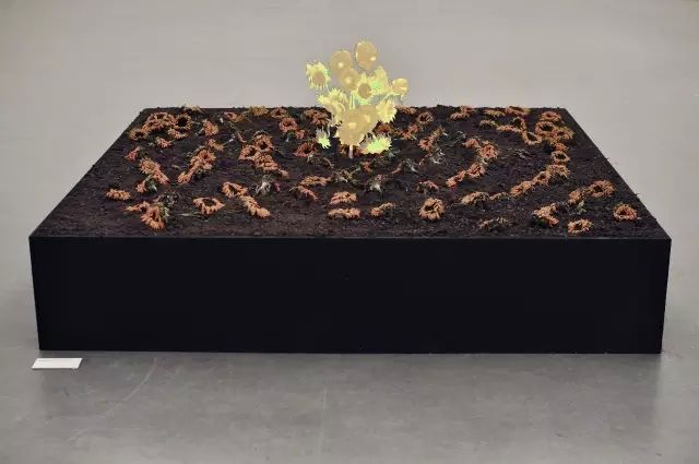 肖般若，《是向日葵吗？》，综合材料，2014年