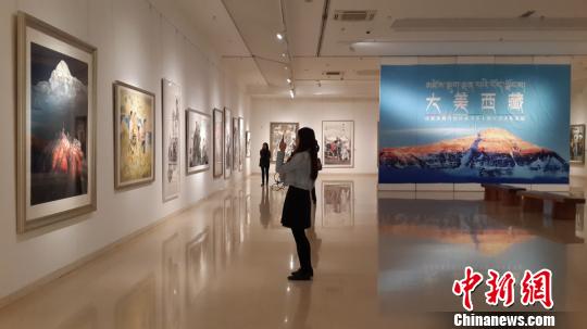 "大美西藏"全国美术作品展亮相石家庄美术馆