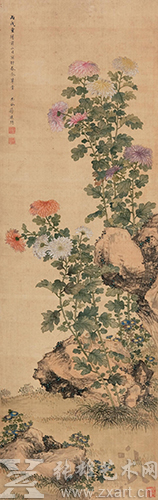 蒋廷锡 《菊石图》