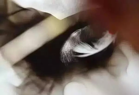 加拿大艺术家以烛为笔创作出的美术作品