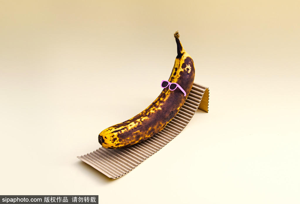 创意生活：澳大利亚艺术家的奇思妙想！