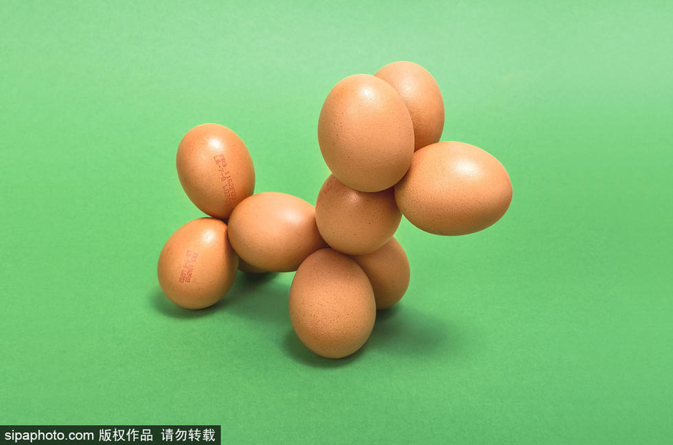创意生活：澳大利亚艺术家的奇思妙想！