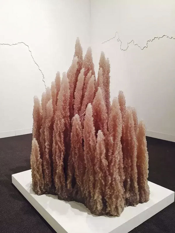 Tara Donova Bluffs 纽扣 2013 佩斯画廊 凤凰艺术 图