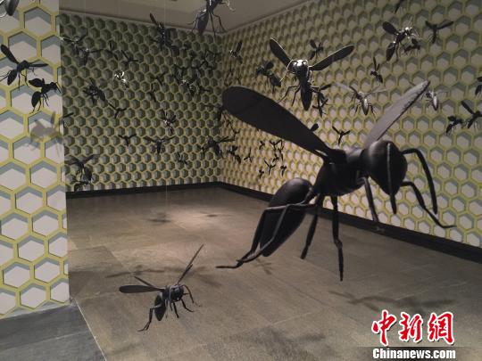 亚双展作品　索有为　摄