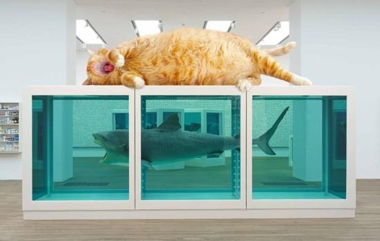 当肥猫成为世界名画的主角（组图）