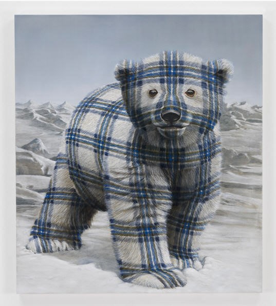   肖恩·兰德斯，《小北极熊（阿拉斯加北坡）》（Polar Bear Cub (North Slope, AK) ），2015
