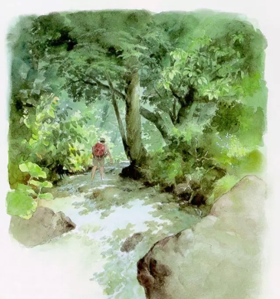 男鹿和雄：画出如诗般的“龙猫森林”