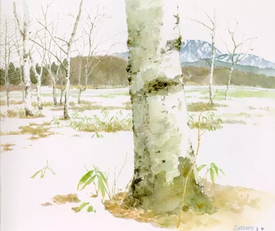 男鹿和雄：画出如诗般的“龙猫森林”