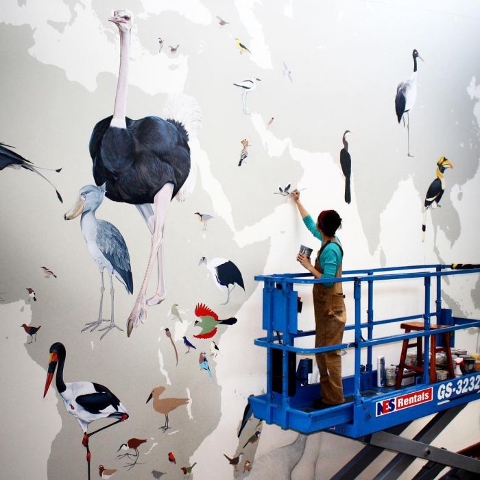 梦幻项目：在巨大墙面上绘制243种鸟类