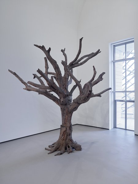 艾未未《树》（2010） 图片：courtesy Louis Vuitton Foundation.