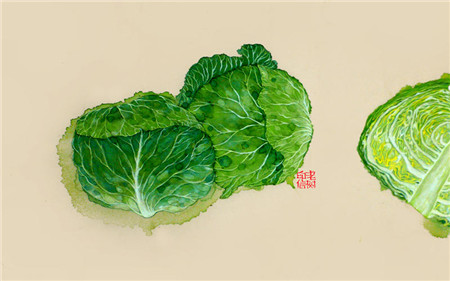老树笔下的生活