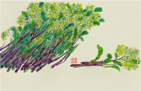 菜苔放久已变老，想来想去没法炒。索性养来当花看，一丛嫩黄开得好。