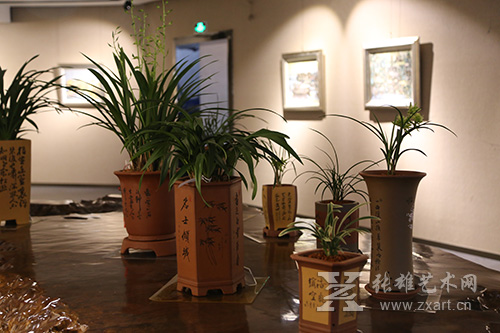 3月6日，张雄书画院美术馆的展厅内展出30盆国兰