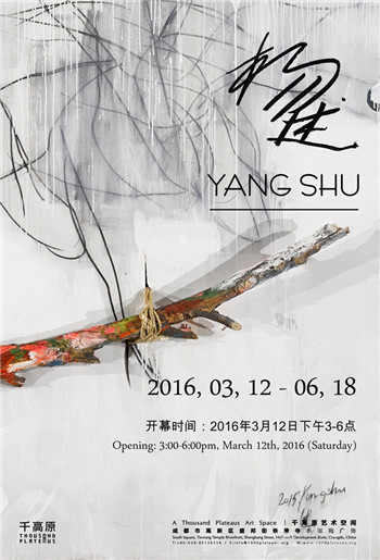 杨述个展