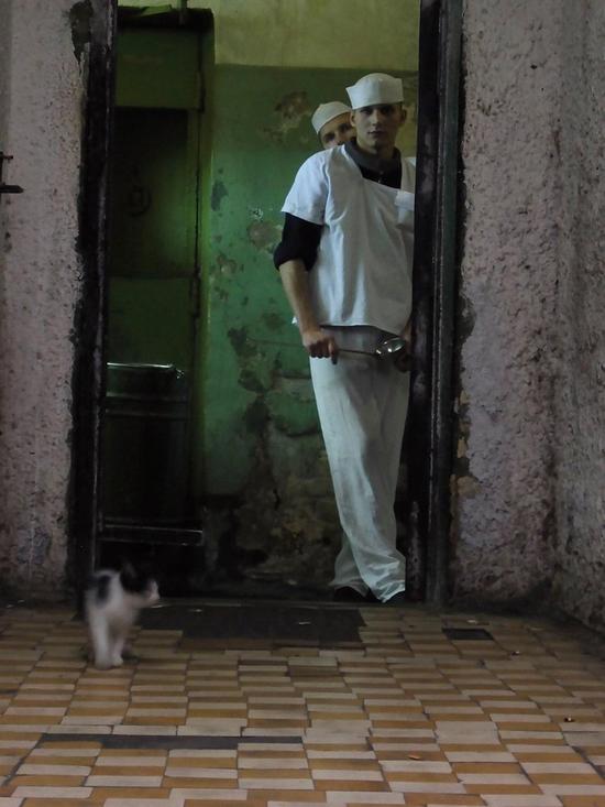 洛杉矶“猫艺术展LA2：续集”即将举办