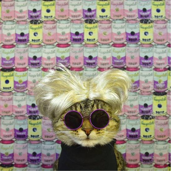 洛杉矶“猫艺术展LA2：续集”即将举办