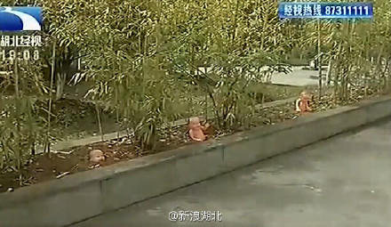 对艺术的向往——高校花坛种“娃娃”