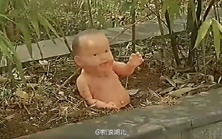 对艺术的向往——高校花坛种“娃娃”