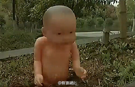 对艺术的向往——高校花坛种“娃娃”