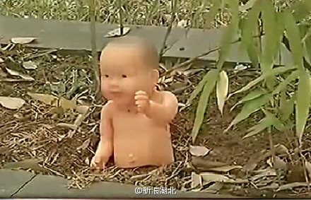 对艺术的向往——高校花坛种“娃娃”