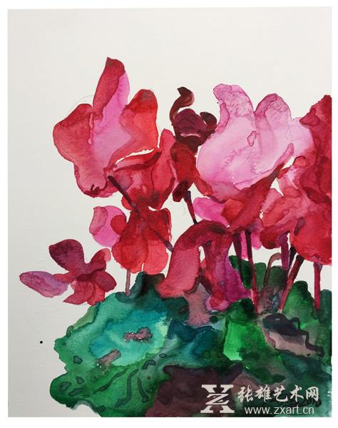 2016《红花》24x19cm