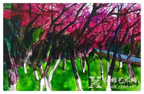 2016《樱花》19x12cm