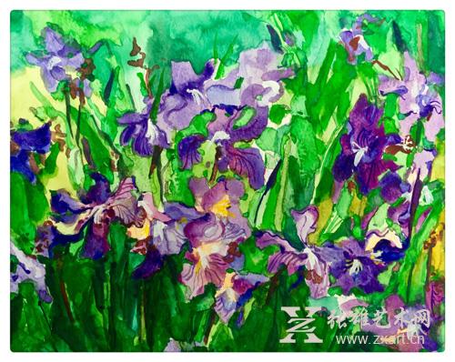 2016《鸢尾花》24x19cm
